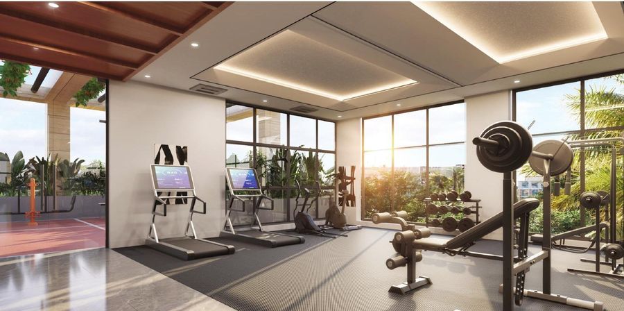 Gymnasium