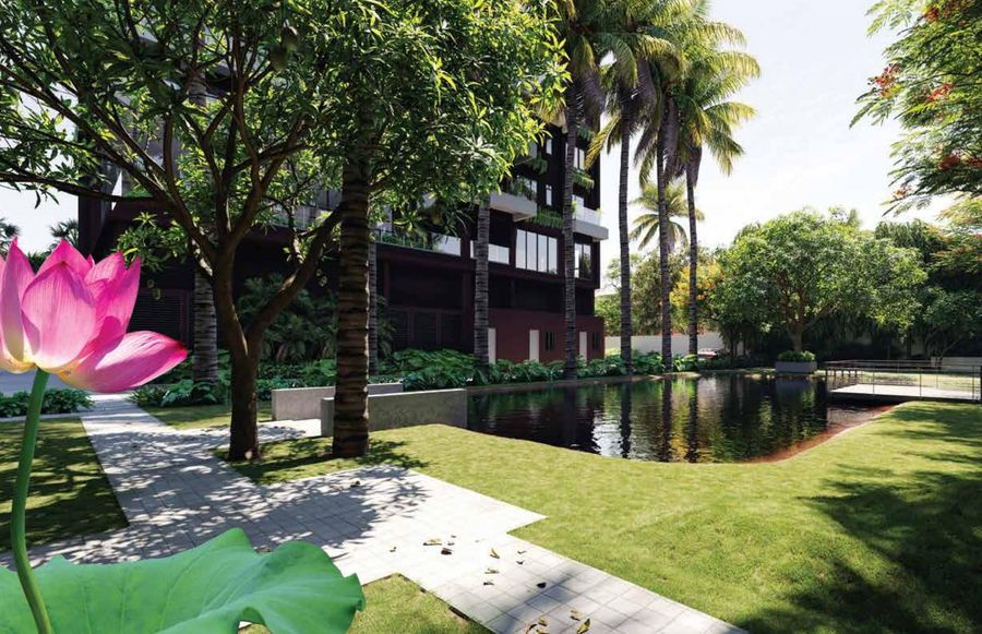 Garden & pond